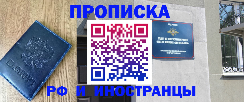 прописка 2025 в Кольчугино